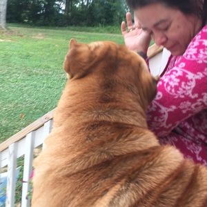 Meet your Posher, Logan